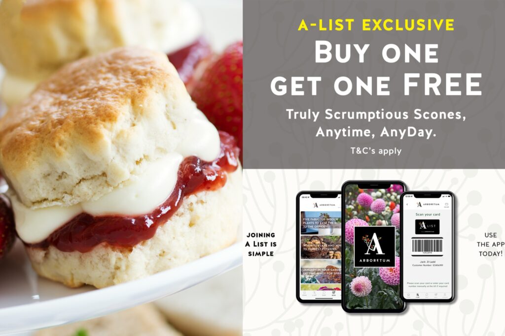 September A-List Offer; Buy 1 Get 1 Free Scone